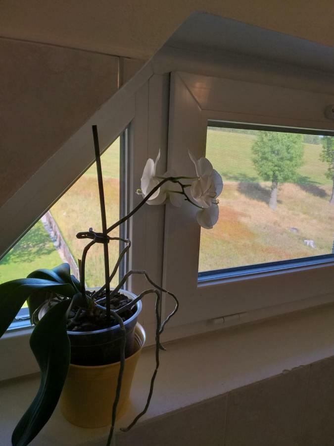 U Pohody Hotel Kovářská Eksteriør billede